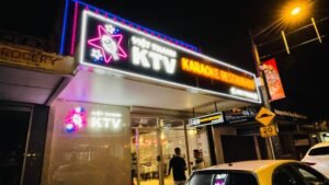 Viet Thanh KTV illuminated shopfront signage at night